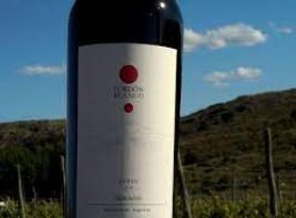 Cordon Blanco - Cabernet Franc