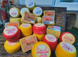 20 quesos 20 salamines - Mayorista